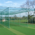 cricket-1