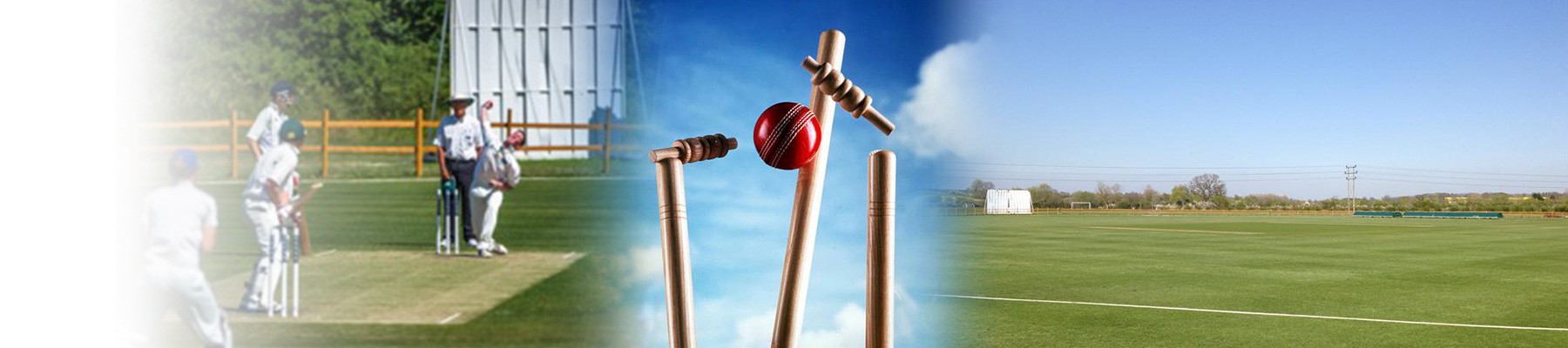 cricket-bb-Banners