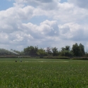 image11
